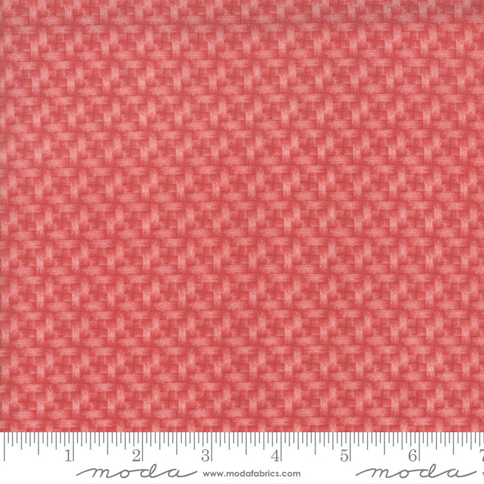 Moda 14884-18