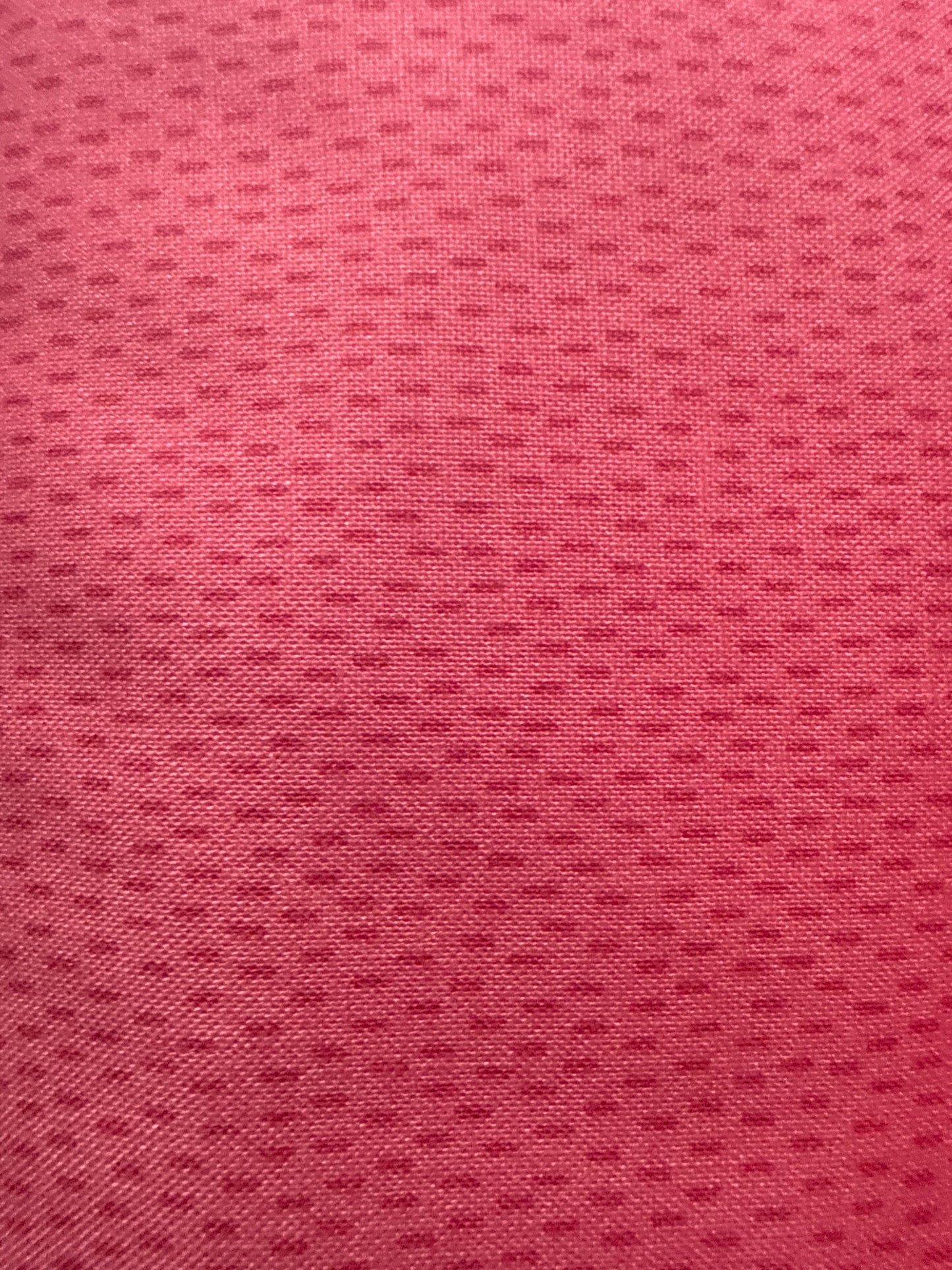 Michael Miller fabrics CX 10714 – RASP – D