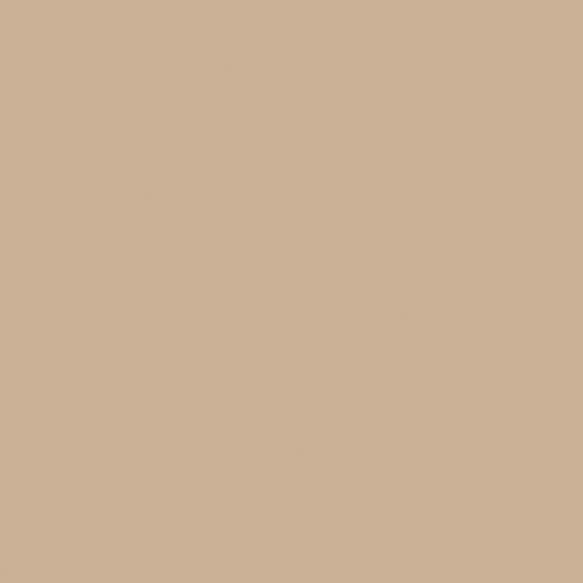 Riley Blake Confetti Cottons Cappuccino