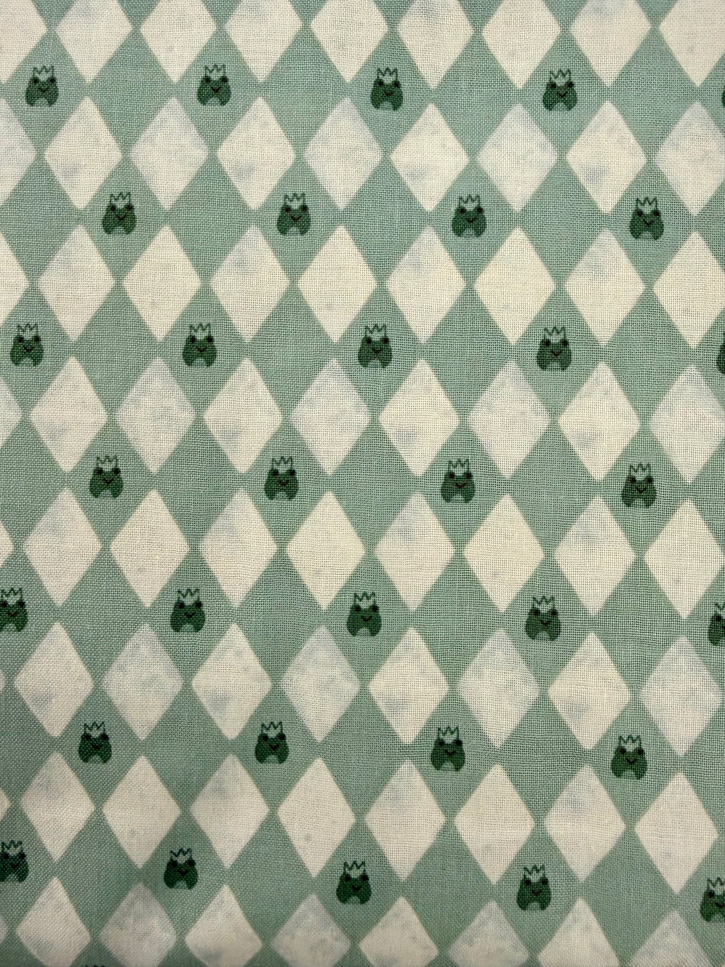 Riley Blake Designs Swamp C172434 Fabric