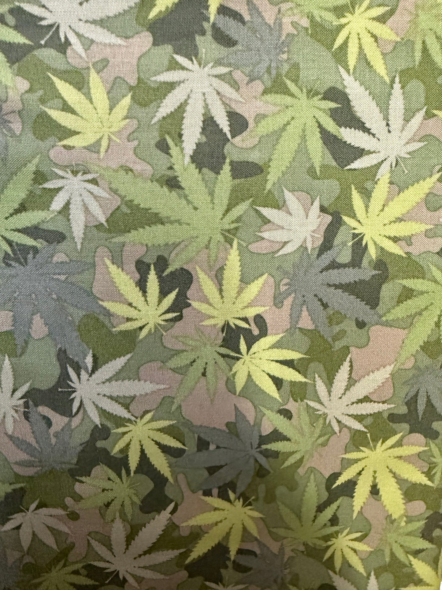 Dear Stella Green C3595