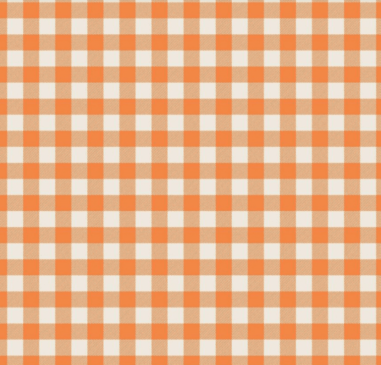 Riley Blake Pumpkin & Spice C14995 Pumpkin