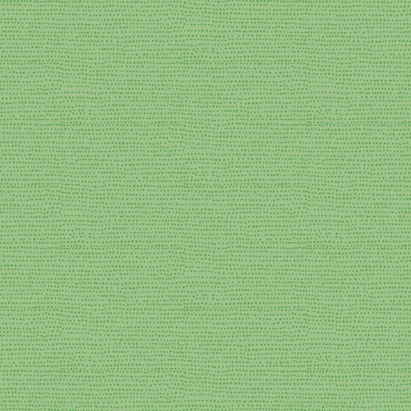 Dear Stella 1150 Kiwi