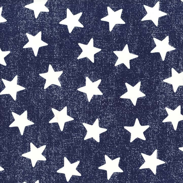 Michael Miller fabrics CX5923 – Navy – D