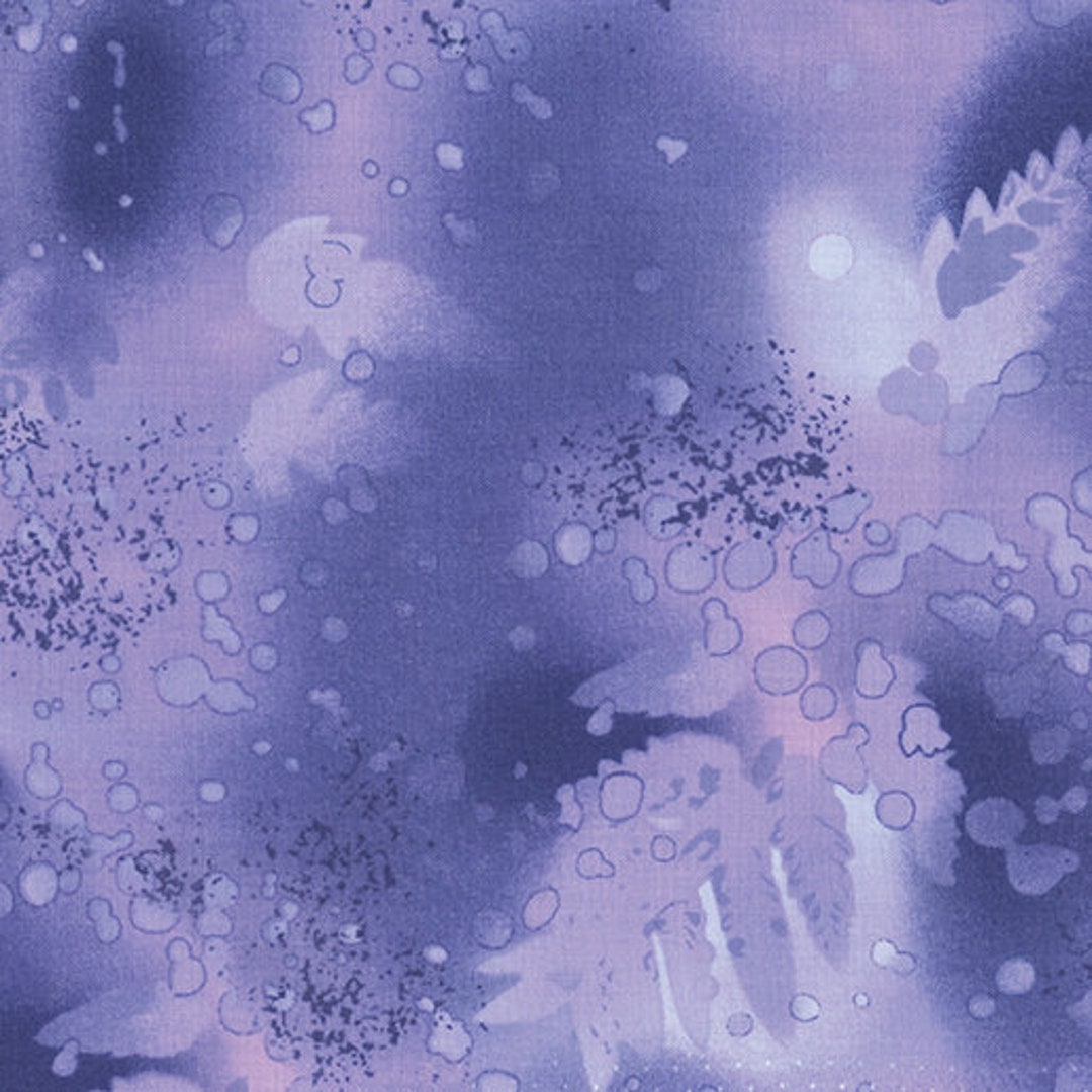 Fossil fern twilight