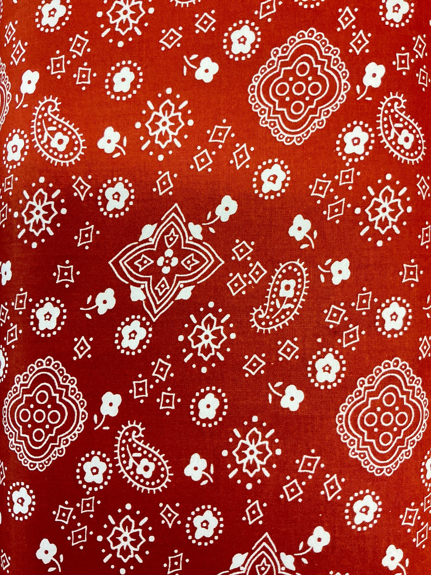 Happy Bandana Rust 05