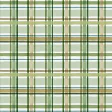 Misty Vistas Green Plaid