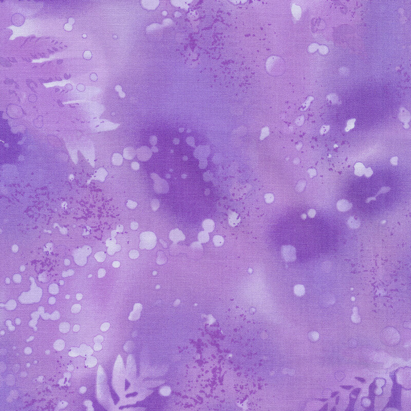 Fossil fern, African violet