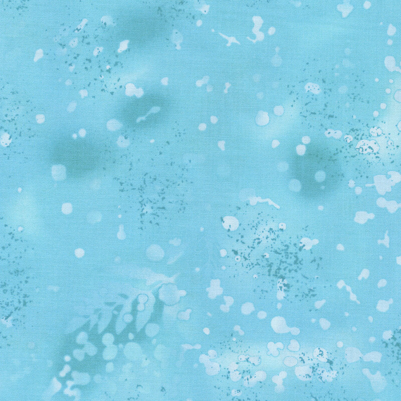 FOSSIL FERN SKY BASIC