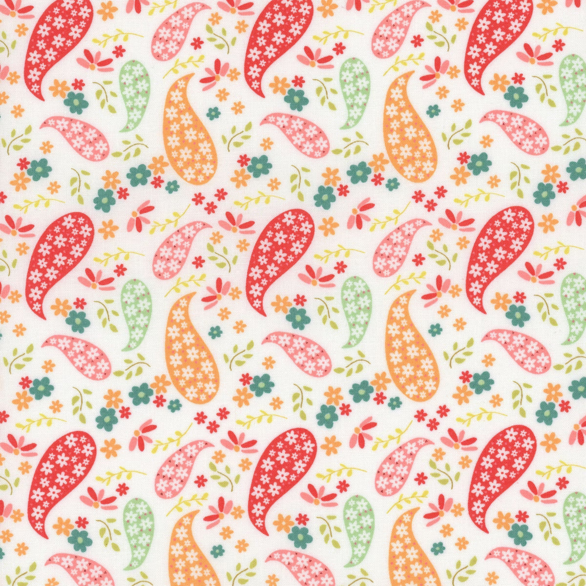 Raspberry Summer 37691 Color 11