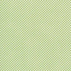 Riley Blake Seasonal Basics C777 Green