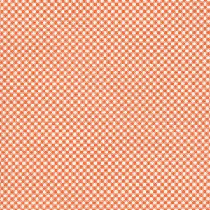 Riley Blake Seasonal Basics C777 Orange