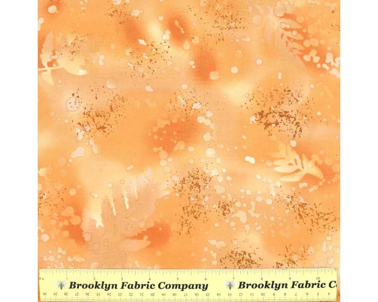Fossil fern caramel