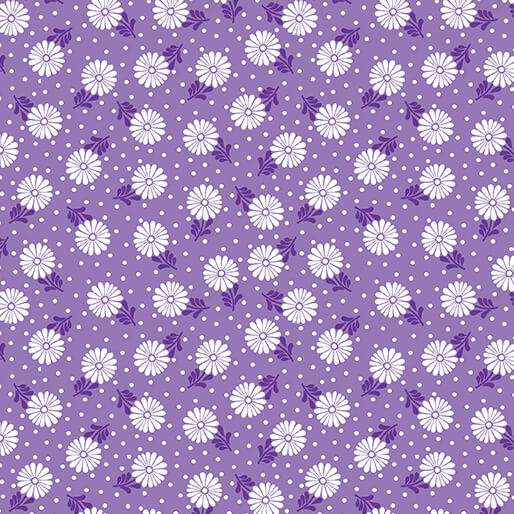 Sunshine Zinnia Violet