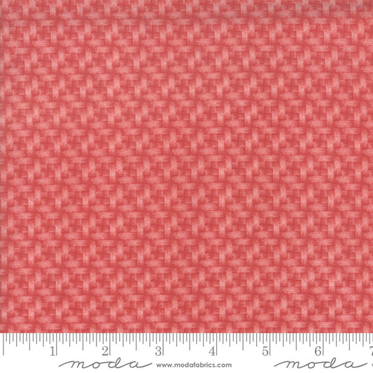 Moda 14884-18