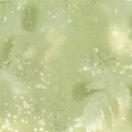 Fossil fern, silver sage