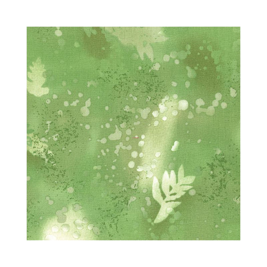 Fossil fern, Meadow green