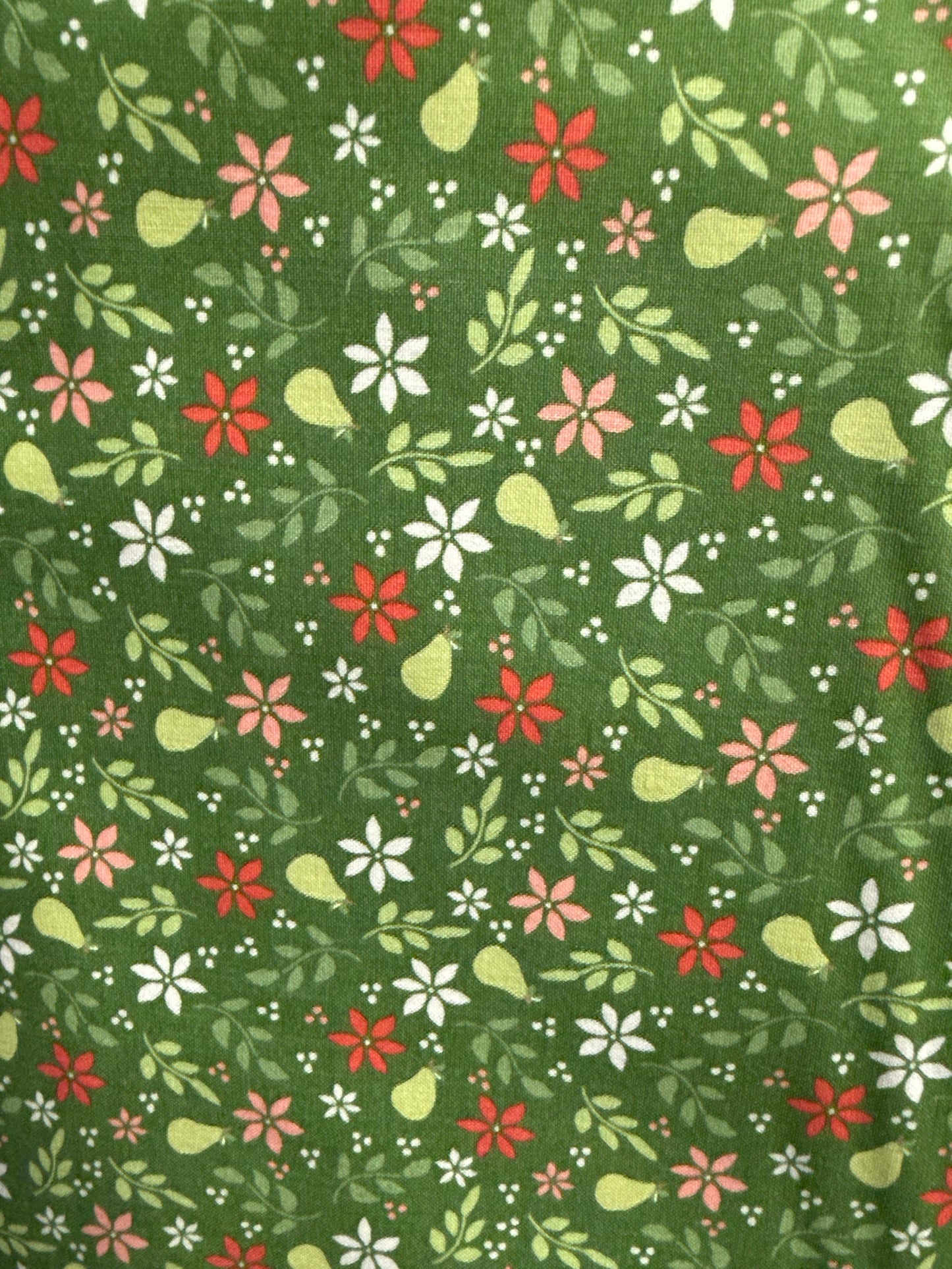Poinsettia and Pear Evergreen 37711 14