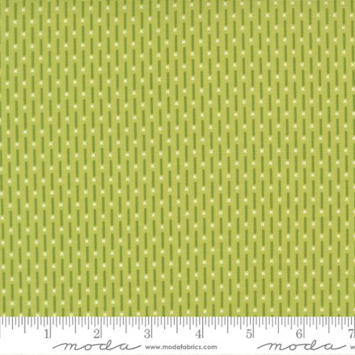 Poinsettia and Pear Pistachio 37715 12