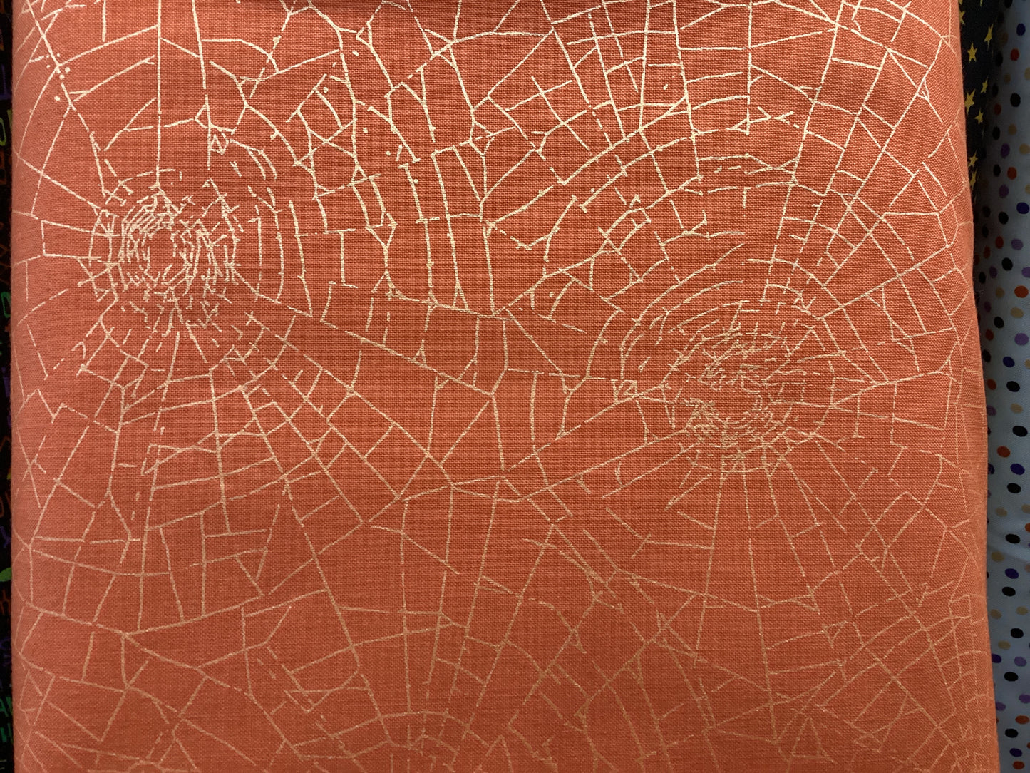 Maywood studio Web of roses 102120