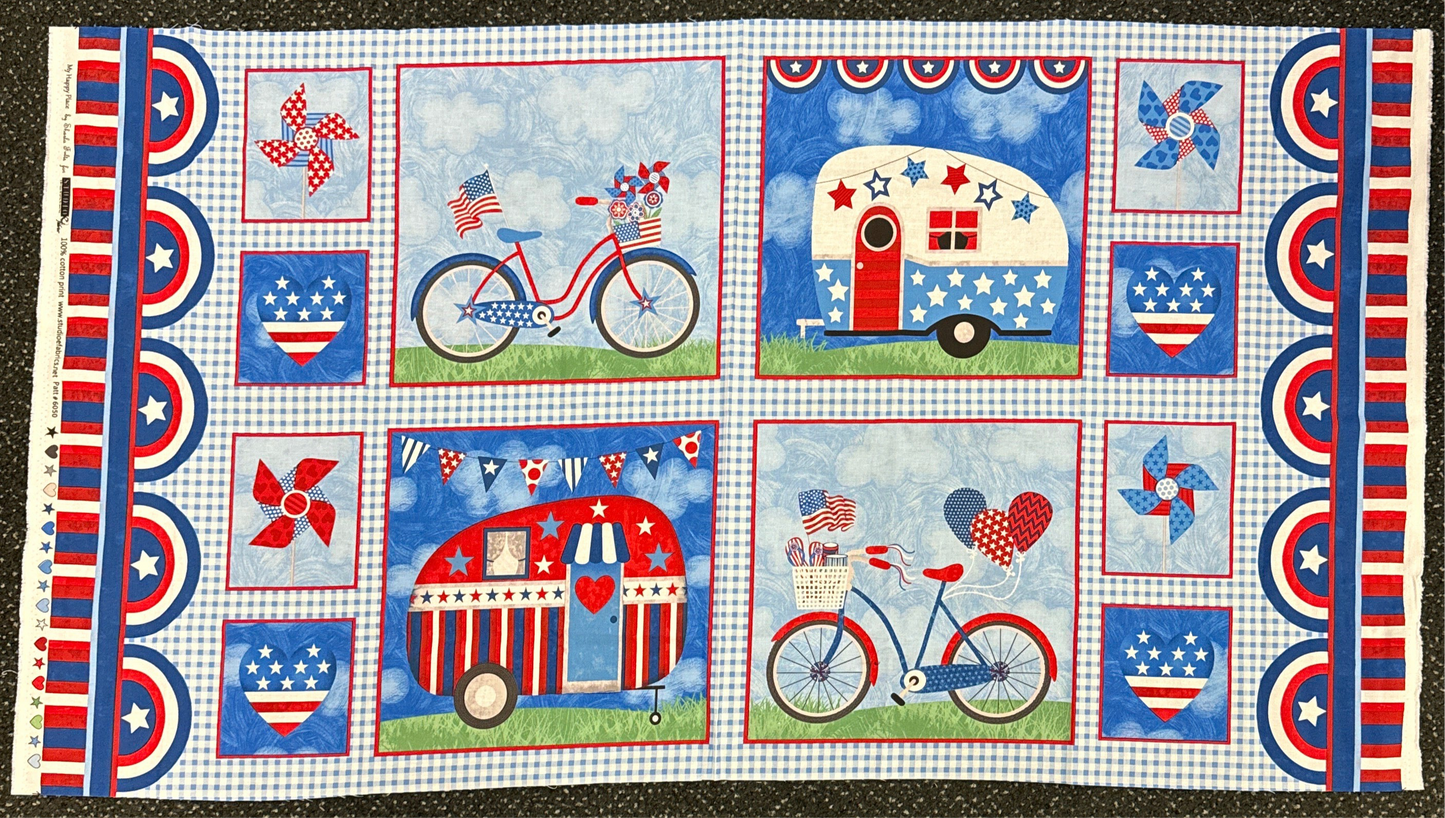 Panels-4th of July car