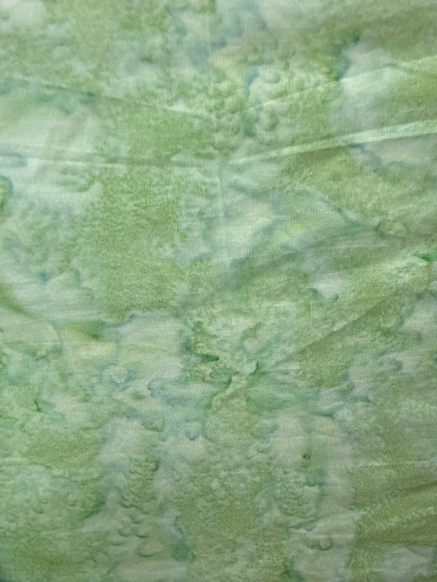 Hoffman 18 95 color 998
