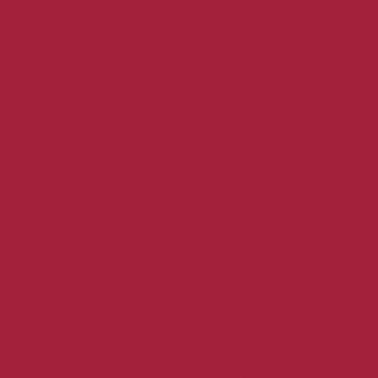 Riley Blake Confetti Cottons Solid - Barn Red