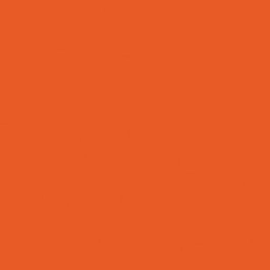 RILEY BLAKE CONFETTI COTTONS C120-RILEY ORANGE