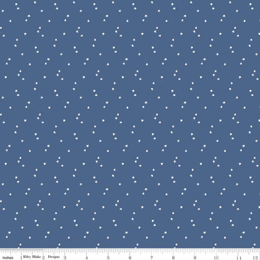 Riley Blake Seasonal Basics C657 Blue
