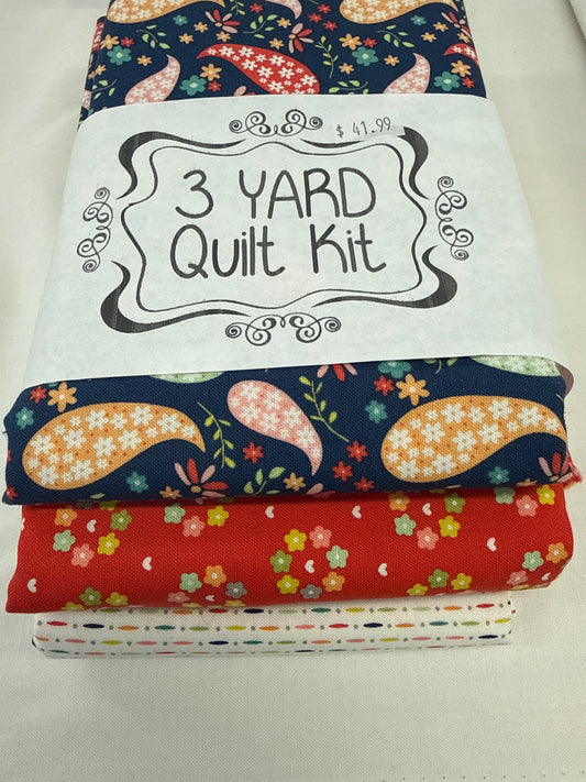 3 yard quilt kit raspberry summer by Sherri and Chelsi