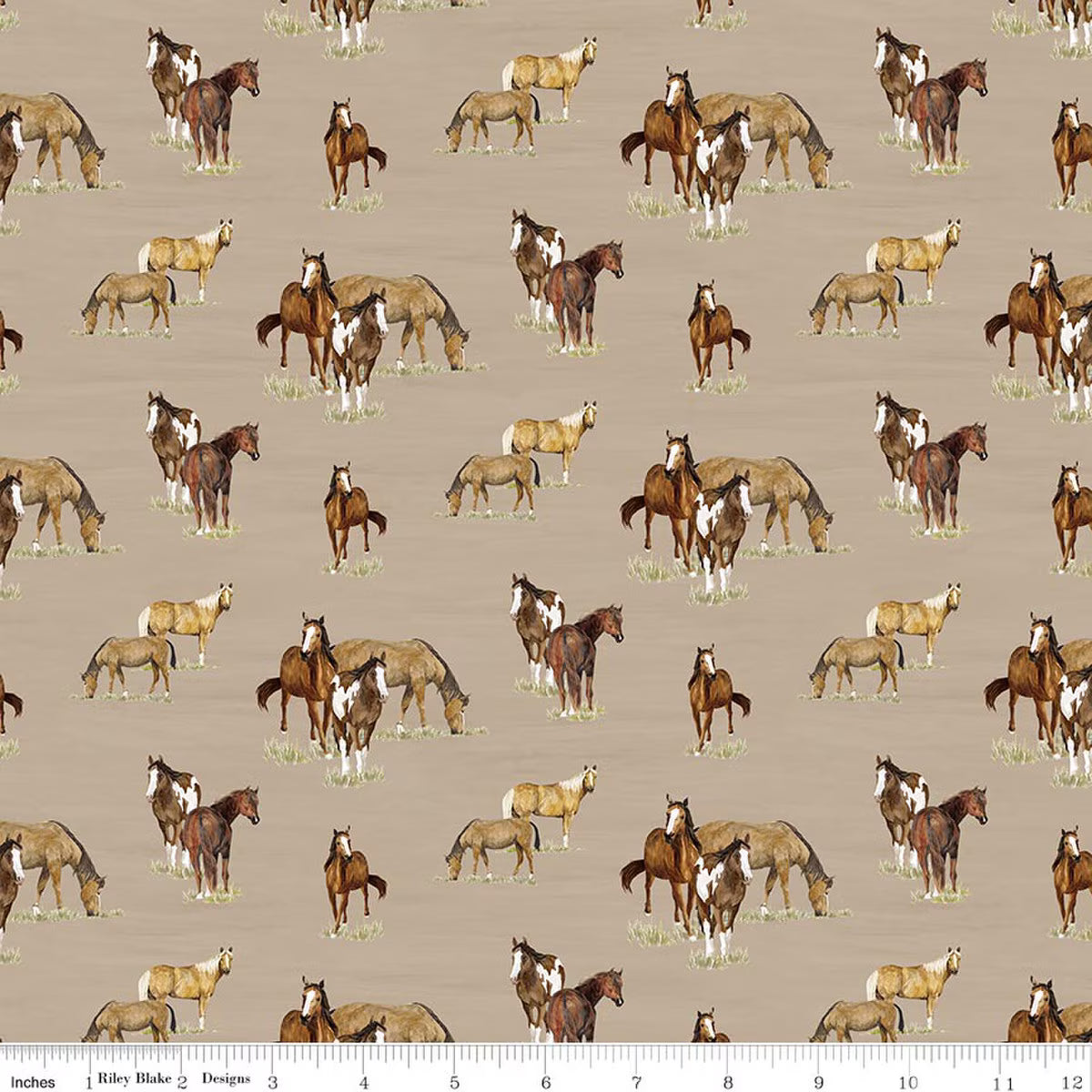 The Homestead by Riley Blake Designs – CD18234 Tan – Fabric by the Yard