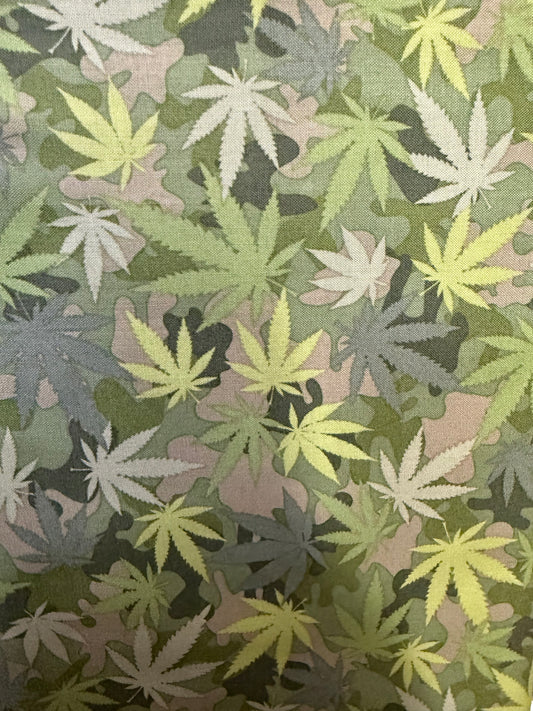 Dear Stella Green C3595