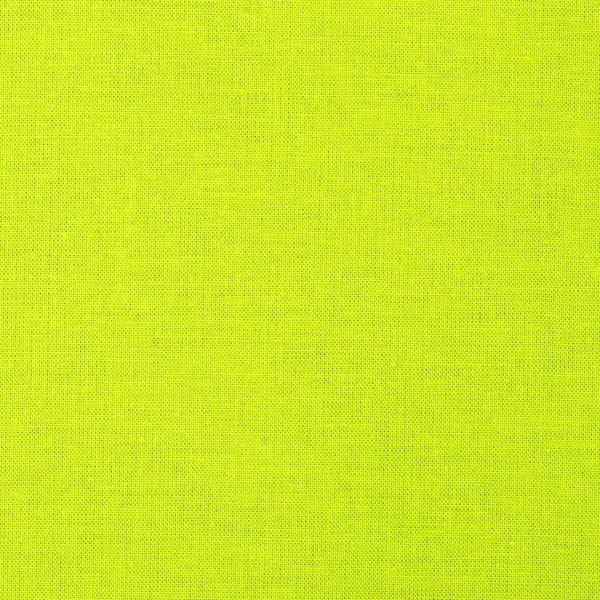Timeless Treasures Solid - Limelight