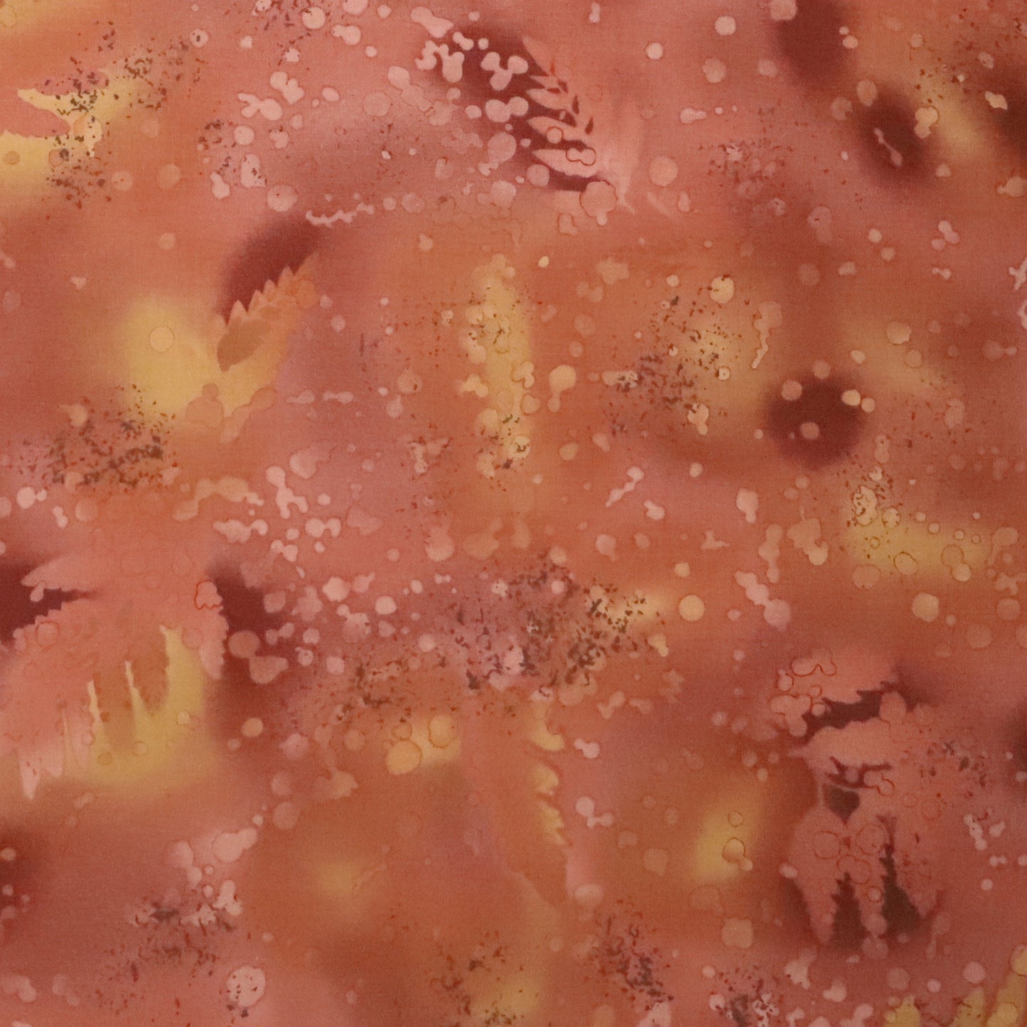 Fossil fern cocoa