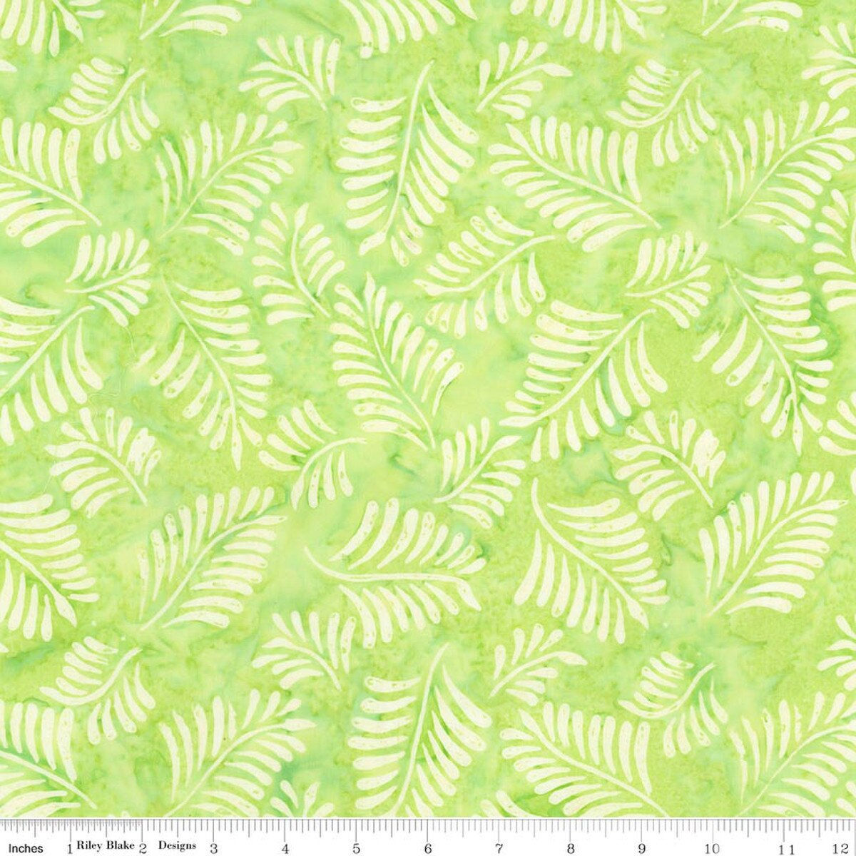 Expressions canopy BT 23433–320