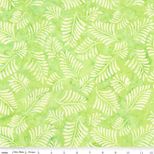 Expressions canopy BT 23433–320