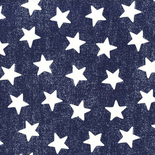 Michael Miller fabrics CX5923 – Navy – D