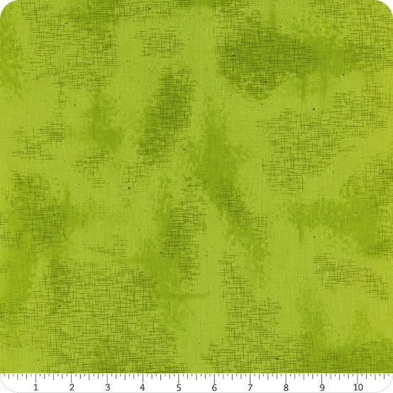 Riley Blake Shabby C605 Turtle
