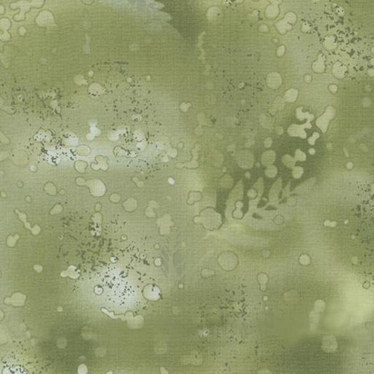 Fossil fern, sage brush SKU 528–30