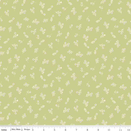 Riley Blake C17943 - Honeydew  Lil' Farm friends by Kelsey Carlson