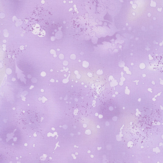 Fossil fern wisteria