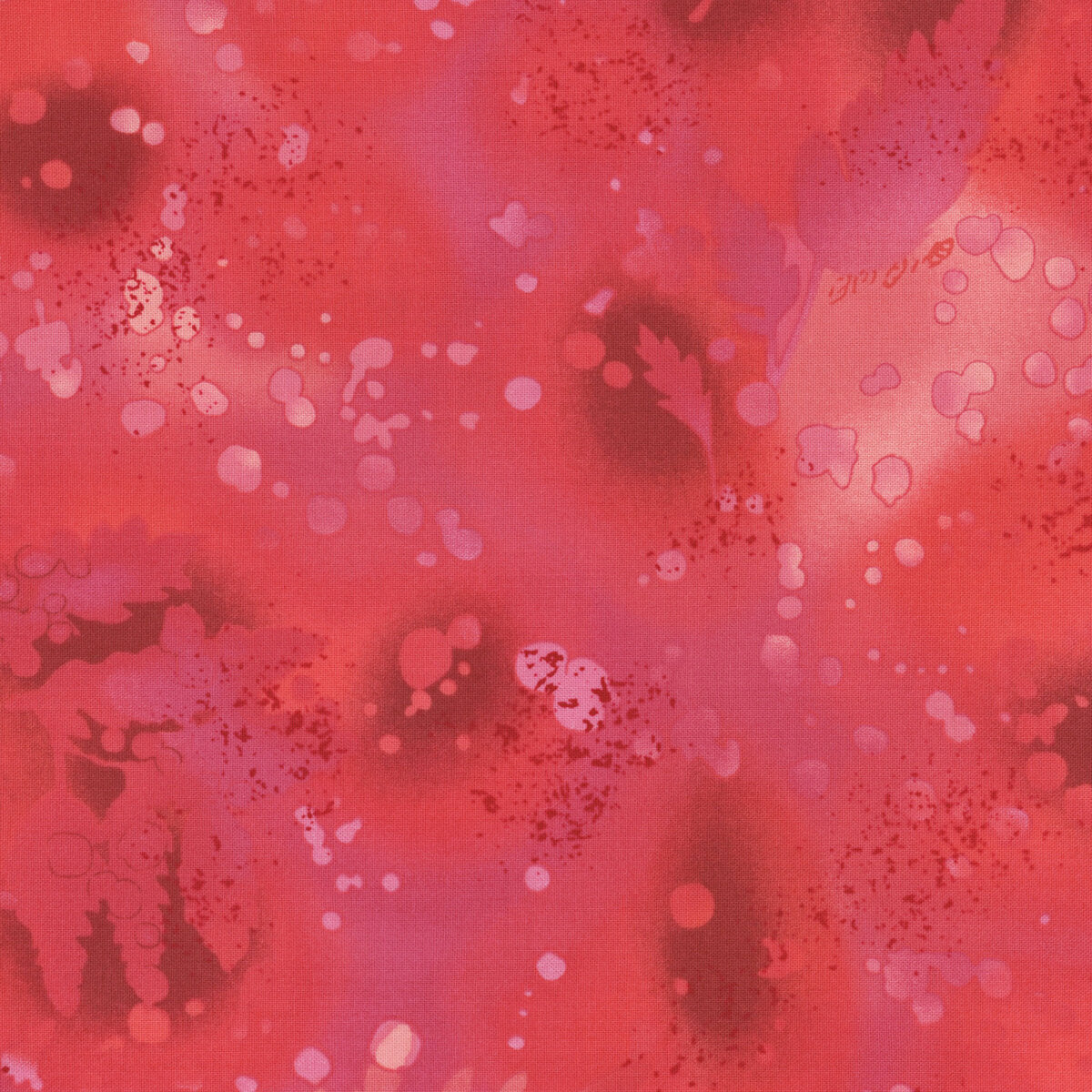 Fossil fern, red rogue