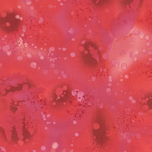 Fossil fern, red rogue