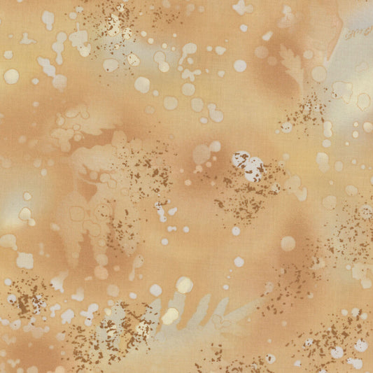 Fossil fern, sand