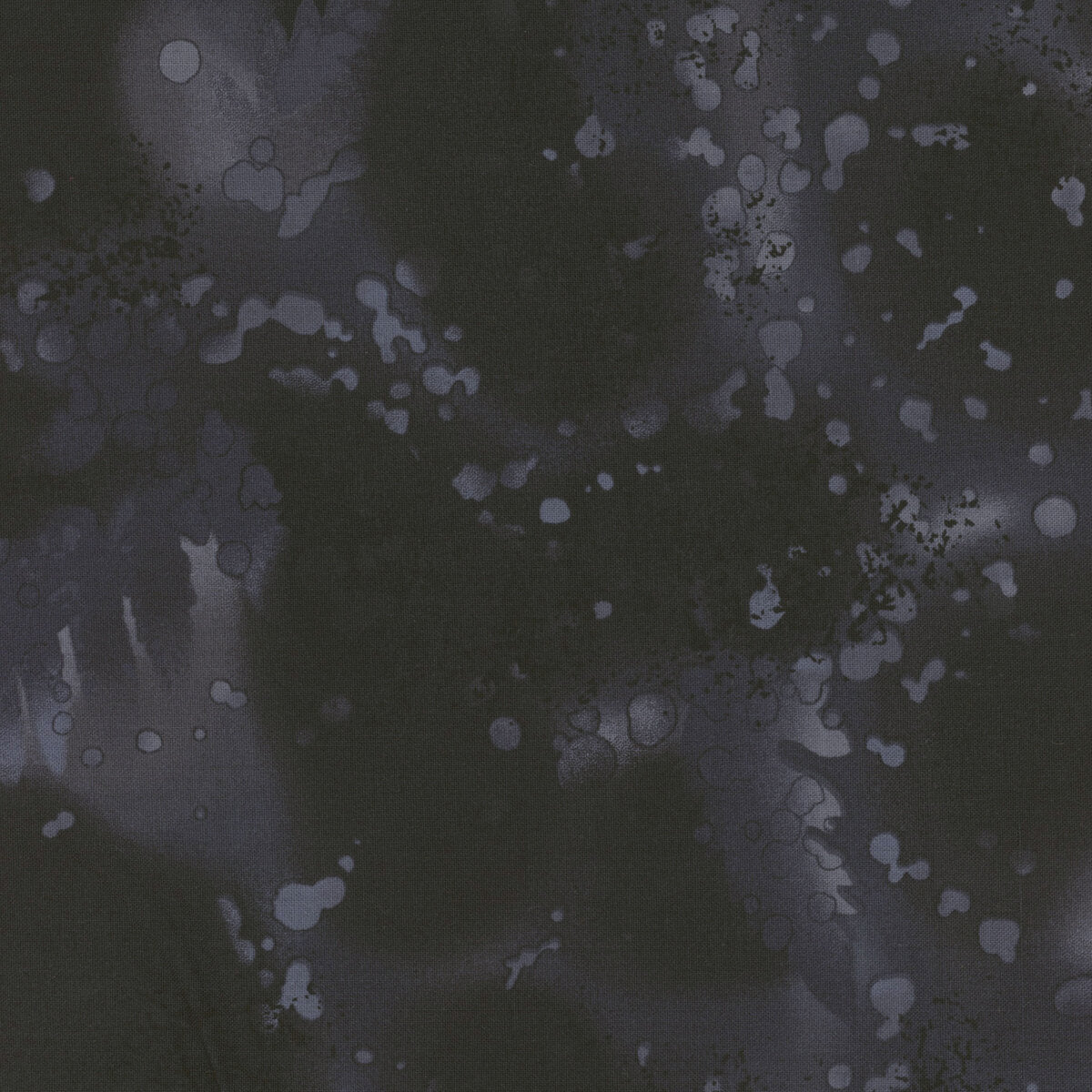 Fossil fern, carbon basic
