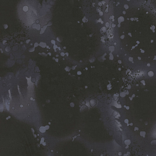 Fossil fern, carbon basic