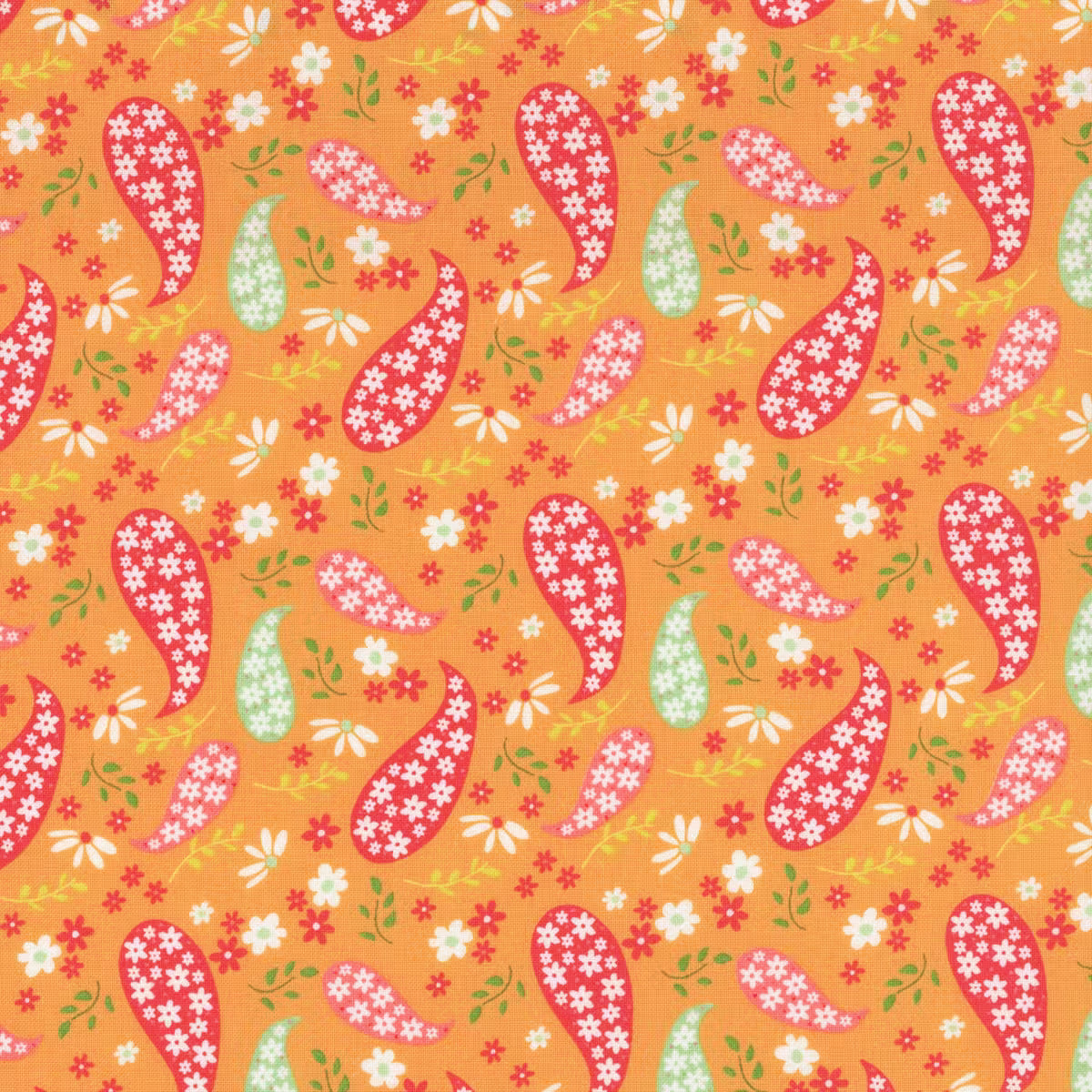 Raspberry Summer 37691 Color 14