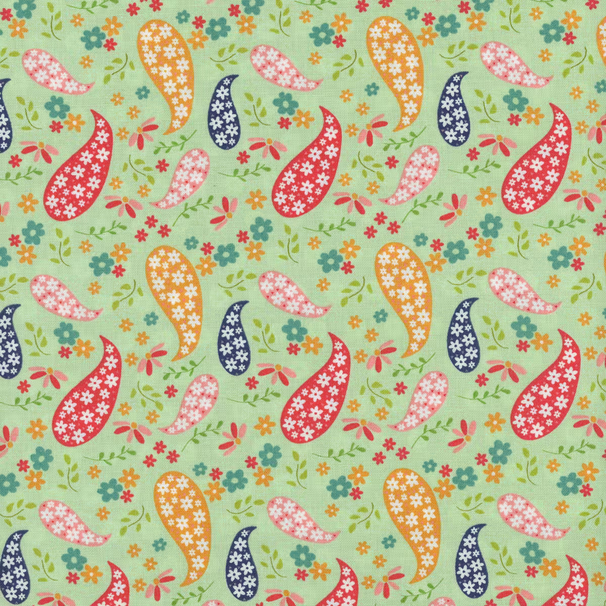 Raspberry Summer 37691 Color 15