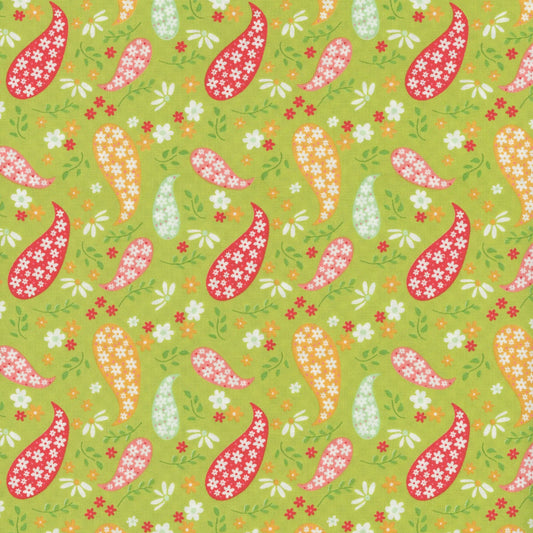 Raspberry Summer 37691 Color 17